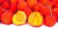 Arbutus unedo Royalty Free Stock Photo