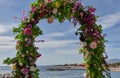 Arc flower at the beach in a sunny day with blue sky Royalty Free Stock Photo