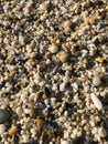 Arc of shells, beach color pebble. Red Sea Royalty Free Stock Photo
