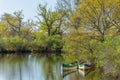 Arcachon Bay, France. Canoes on the river Leyre, also called the Little Amazon Royalty Free Stock Photo