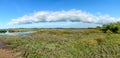 Arcachon Bay, France. The salt meadows of Ares Royalty Free Stock Photo