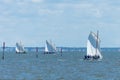 Arcachon bay, France. Regatta of traditional Pinasses Royalty Free Stock Photo