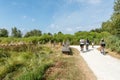 Arcachon Bay, France. The salt meadows of La Teste Royalty Free Stock Photo