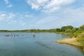 Arcachon Bay, France. The salt meadows of La Teste Royalty Free Stock Photo