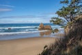 Arcadia beach Oregon coastline Royalty Free Stock Photo