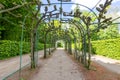 Arch alley in Sanssouci park, Potsdam, Germany Royalty Free Stock Photo