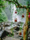 Arch with beautiful flowers and decorations. Wedding ceremony at waterfall Royalty Free Stock Photo