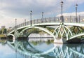 Arch bridge in Tsaritsyno Royalty Free Stock Photo