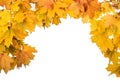 Arch of bright autumn maple leaf isolated on white Royalty Free Stock Photo