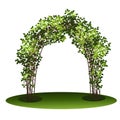 Arch with bush clematis and green leaves Royalty Free Stock Photo