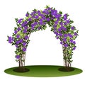 Arch with bush clematis and green leaves Royalty Free Stock Photo