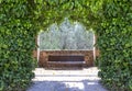 Empty wooden bench, park style behind ivy arch Hedera helix, Magnoliophyta, Magnoliopsida