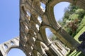 Arch details at abbey ruins