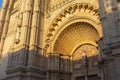 Arch on the door of the cathedral of Palma Royalty Free Stock Photo