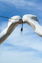 Arch of fish rib bones with lamp Royalty Free Stock Photo