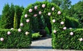 Arch with flowers