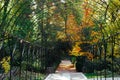 Arch in a garden, tunnel, path, walkway in a park. Green and yellow fall trees. Royalty Free Stock Photo