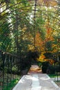 Arch in a garden, tunnel, path, walkway in a park. Green and yellow fall trees. Royalty Free Stock Photo