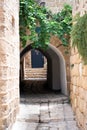 Arch with green leaves of a plant on an ancient street of Jaffa in Tel Aviv, Israel