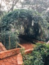 Arch of green leaves and ripe zucchini in garden of countryside cottage on rainy summer day Royalty Free Stock Photo