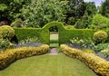 Arch through a hedgerow in an English Garden Royalty Free Stock Photo