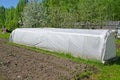 Arch hotbed on the seasonal dacha in the spring