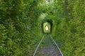 The Arch of Love. Wonders of nature. A natural arch formed by intertwined trees above a railway. Arch of Green tunnel of