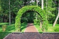 Arch made by clamber oak tree in the park of Mezhyhirya Residence, Novi Petrivtsi village, Ukraine