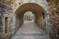 Arch pathway with a cobblestone wall Royalty Free Stock Photo
