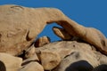 Arch Rock in Joshua Tree National Park Royalty Free Stock Photo