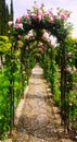 Arch with roses at garden of Generalife