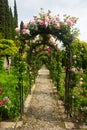 Arch with roses at garden of Generalife. Granada