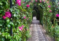 Arch with roses at garden of Generalife. Granada Royalty Free Stock Photo