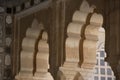 Arch structure detail of Mirror palace in Jaipun, India