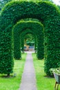 Arch of topiary Royalty Free Stock Photo