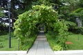 Arch and trellis, entwined vine and lantern in a beautiful Park in the summer Royalty Free Stock Photo