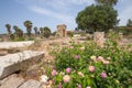 The arch of triumph. Roman remains in Tyre. Tyre is an ancient Phoenician city. Tyre, Lebanon Royalty Free Stock Photo