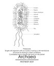 Archaea are considered one of the first life forms