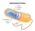 Archaebacteria inner and outer anatomical bacteria structure outline diagram