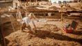 Archaeological Digging Site: Great Female Archeologist Work on Excavation Site, Cleaning Cultural Royalty Free Stock Photo