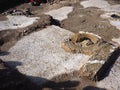 Archaeological Digging Site - discovering the past
