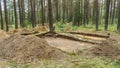 Archaeological excavation in a forest. A large plundering pit dug by archaeologist at an archaeological site