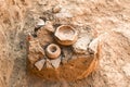 Archaeological excavation, fragments of amphorae lie on ground, ancient finds