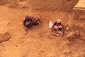 Archaeological excavation