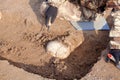 Archaeological excavations. The archaeologist in a digger process. Close up hands with knife and brush conducting research on huma