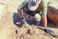 Archaeological Excavations. Archaeologist With Tools Conducts Research On Human Burial, Skeleton, Skull