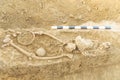 Archaeological excavations man and finds bones of a skeleton in a human burial, working tool, ruler, a detail of ancient resear Royalty Free Stock Photo