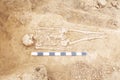 Archaeological excavations man and finds bones of a skeleton in a human burial, working tool, ruler, a detail of ancient resear Royalty Free Stock Photo