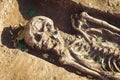 Archaeological excavations. research on human burial, skeleton, skull Royalty Free Stock Photo