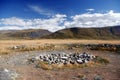 Archaeological excavations on the site of ancient Scythian burials of Pazyryk culture on the river Ak-Alaha